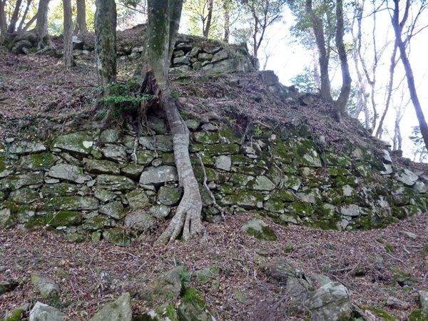 🏯 코노미네 성터 (코노미네조) 이미지 1